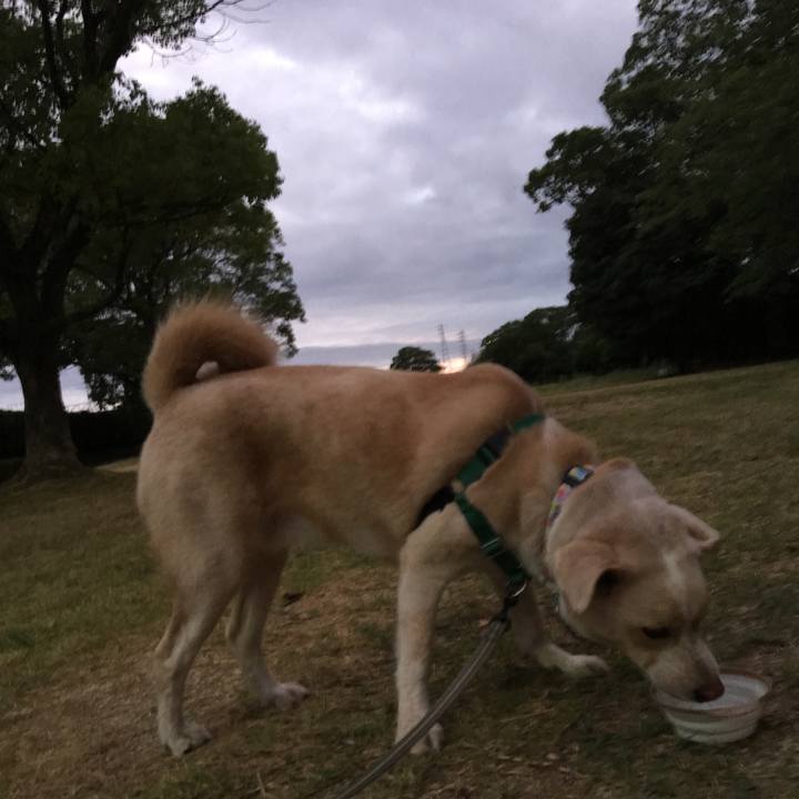 3c3a472f aa53 474e 9f5c a49aec57875c