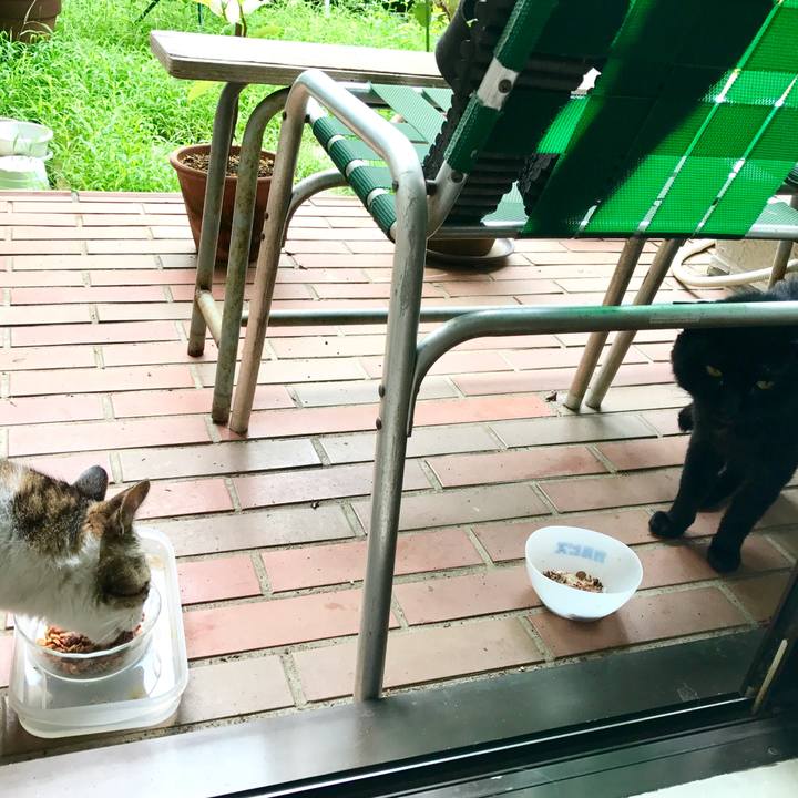 3c3b168d c2ff 4ed0 86cf f58050a39ca5