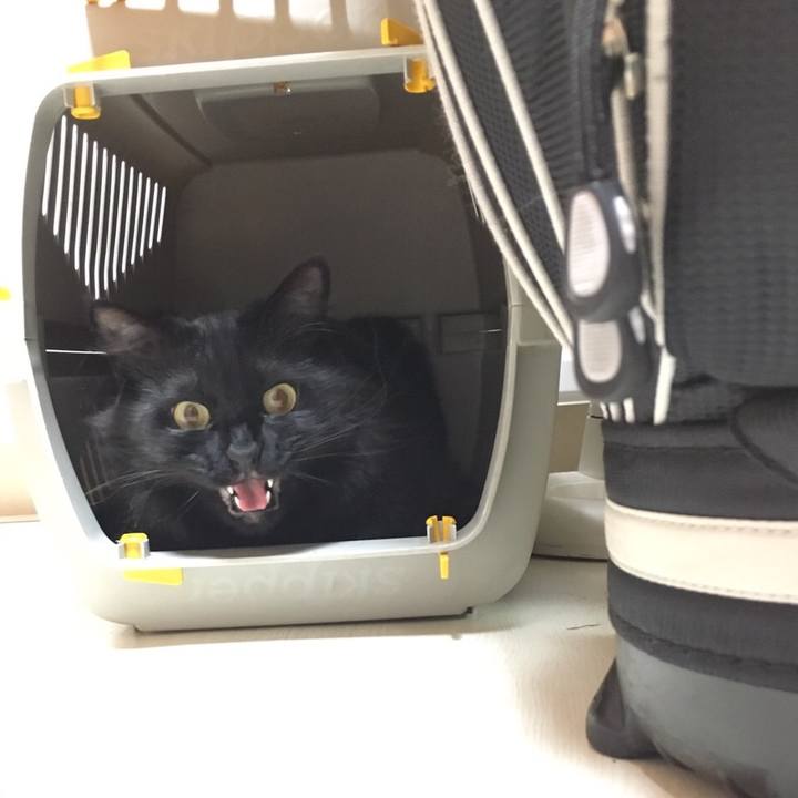 3c3b273b 89b1 47ef 8f49 c87e68976f0a