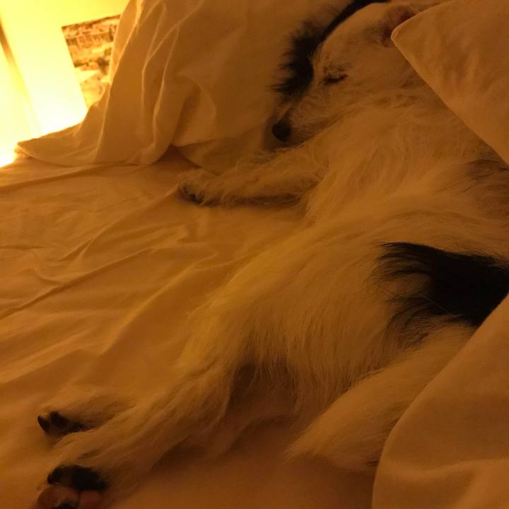 3c3b70bf 5c25 44ef ac56 e078cf3f9fcd