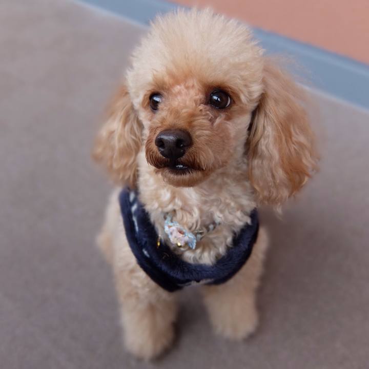 3c3ba1ce 17eb 4477 ae5c 13523d9152da