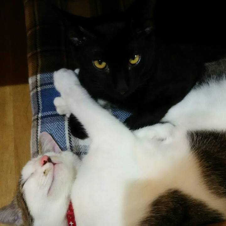 3c3d26a5 ca11 4bce a0d4 c12bce47e8bf