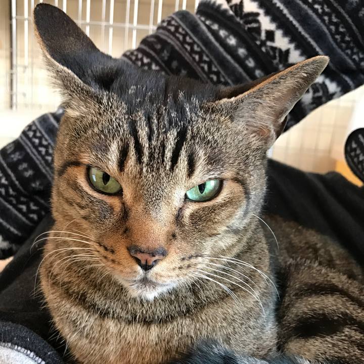 3c3d6565 2f4f 4fa1 9bf5 67f3d22e5fbf