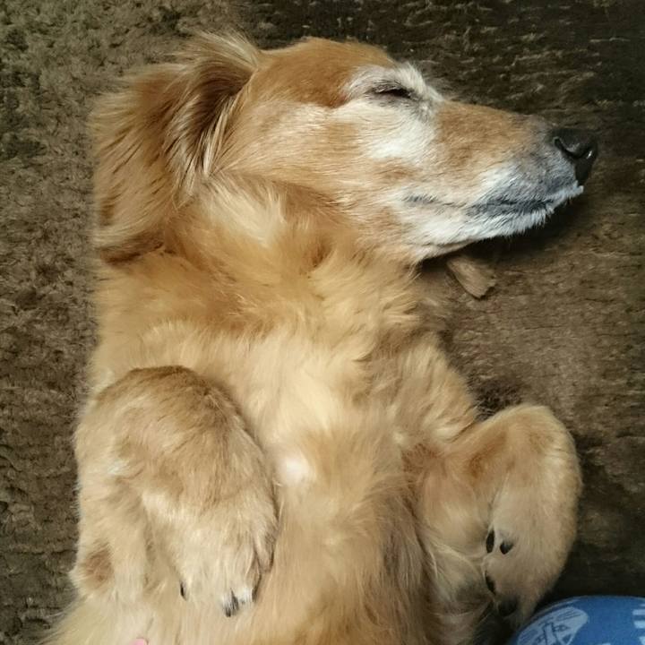 3c3df13a 642b 4d10 9c32 b458828d7734