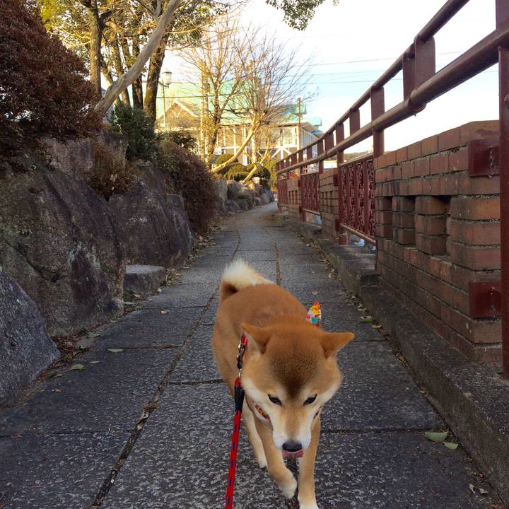 3c3e7bec ad2e 4461 afd2 2f772aaef4b4