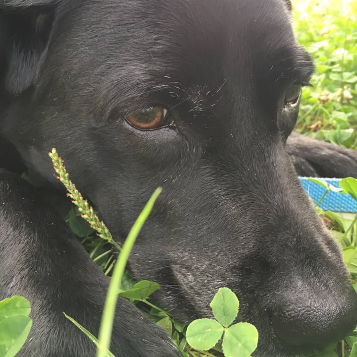 3c3e94b4 4a84 4667 b29d f3e7023db5bf