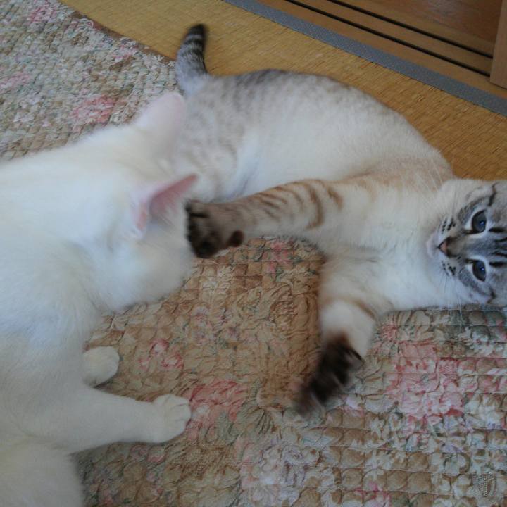 3c3fc832 30e8 488d 8db6 8126a29f856d