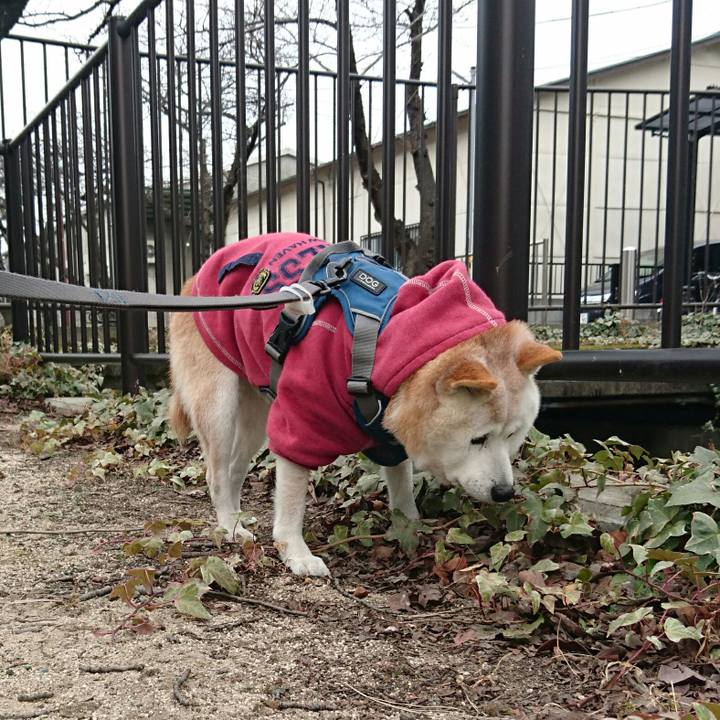 3c405217 6dc1 49fd a036 45c247fa007a