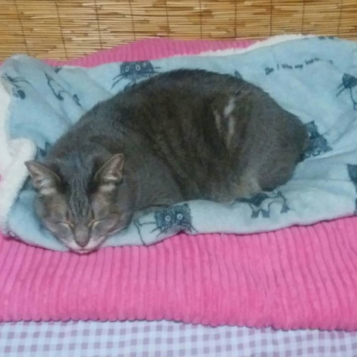 3c40b342 c3f2 4cd2 8821 27cfd9e29ba9