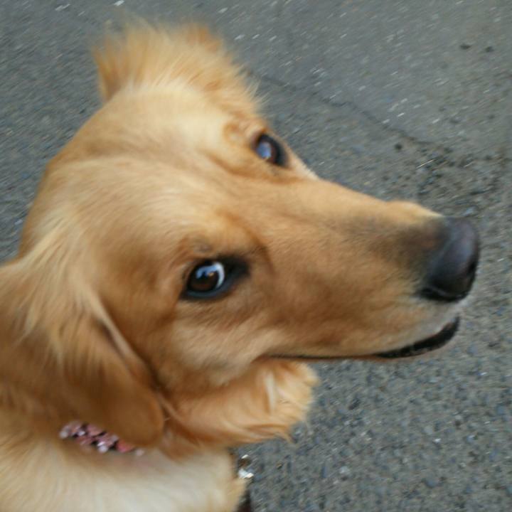 3c412c66 5ed7 40f0 87d2 7f6f5cbc28b3