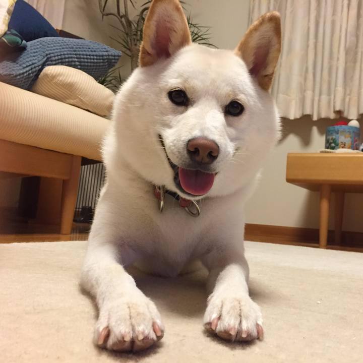 3c41c8eb caf4 4f06 8041 37a08a561089