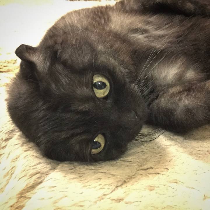 3c41ef4c b75d 4b0f 8d7e ecae2c0e35c3