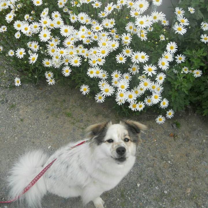 3c420151 9f13 47e8 9e25 627c7d2b8fb9