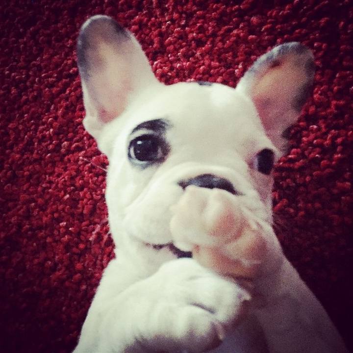 3c42a3f0 e04e 47bc 8216 aa7a78f9eee2