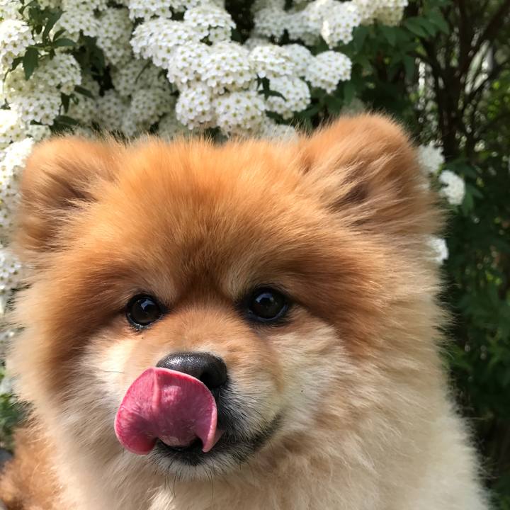 3c42ef44 ad0d 4ffb 9be5 44ba39ff5a53