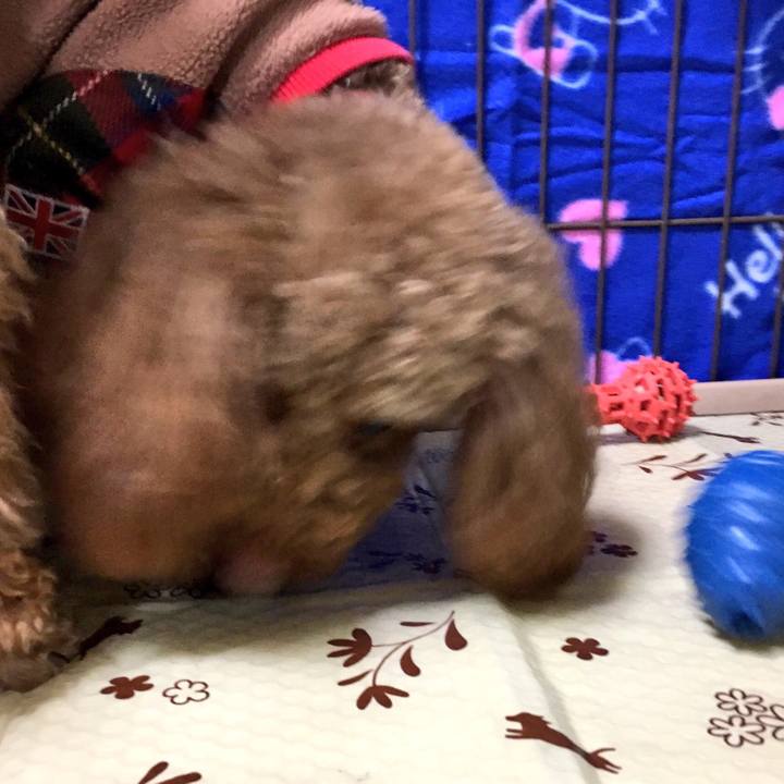 3c42f2a2 b9be 4284 817b b95ba4326458