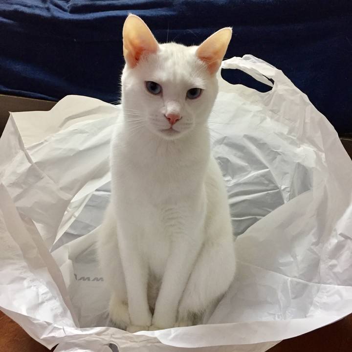 3c43148a 6fde 41e3 947f 8476cee33e37