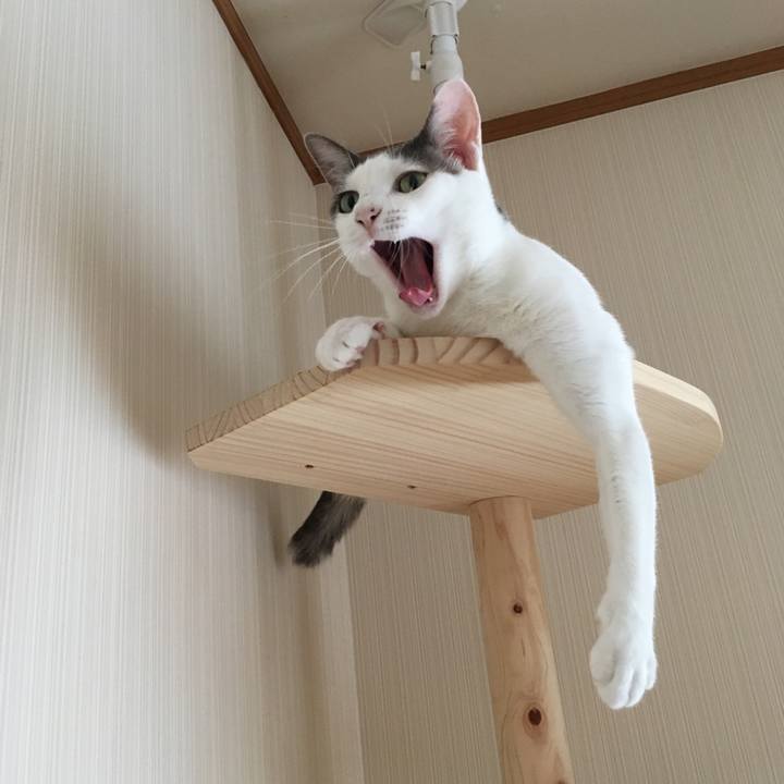 3c43c2fb c65c 4e25 af73 c7b5ea7482cd