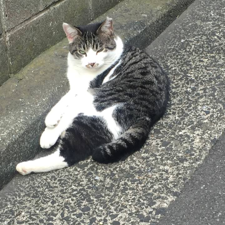 3c43ebbb 1287 49a0 ae70 a1132ff765e6