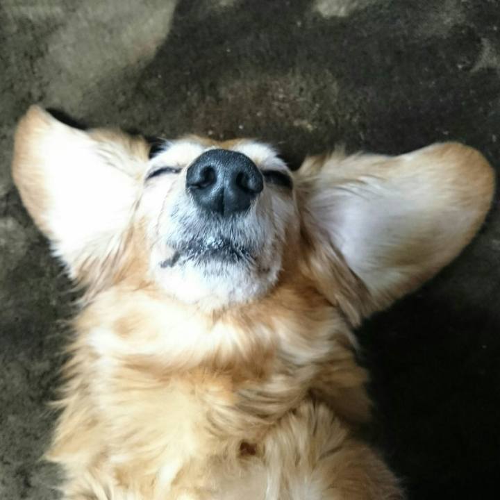 3c441cc7 0c8e 460c 98cb 5e98f29ecdc1