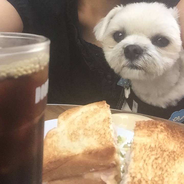 3c44803d 0b0a 47a2 aaa4 2a92ad145322