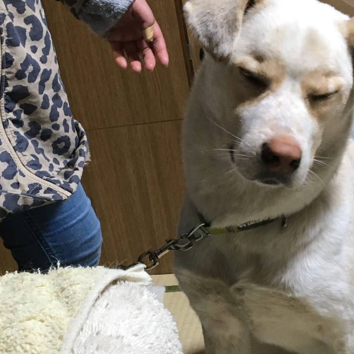 3c448d24 e7ff 46e3 ac23 7737d8b4b1cb