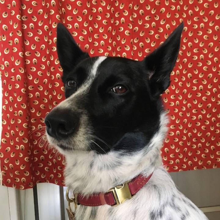 3c44eaf2 e918 4a5f 8f0d 86e8fe364c8d