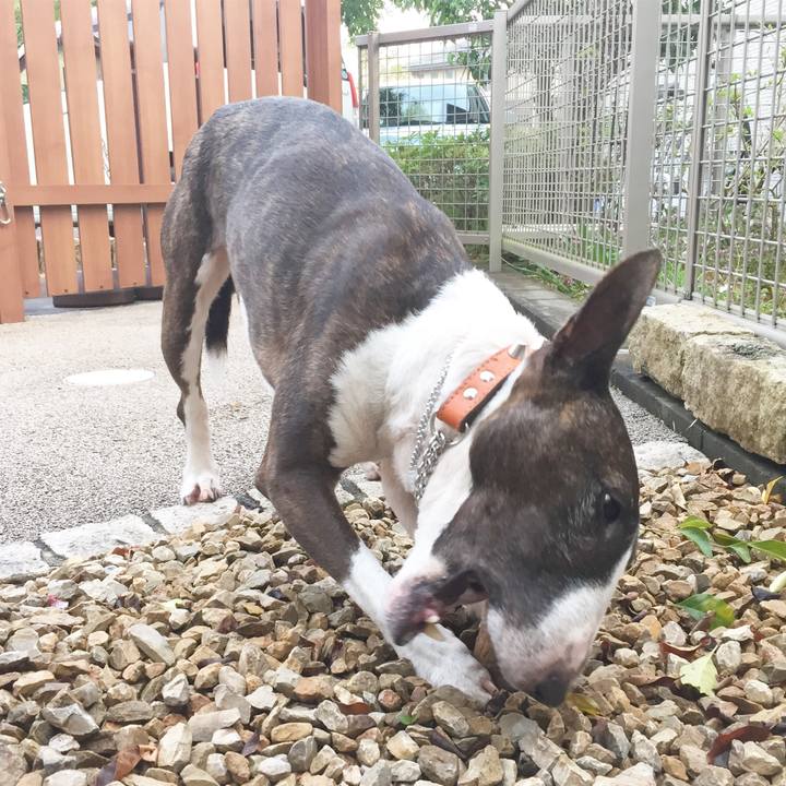 3c4520c6 4468 4a99 9498 a1a4734b52f8