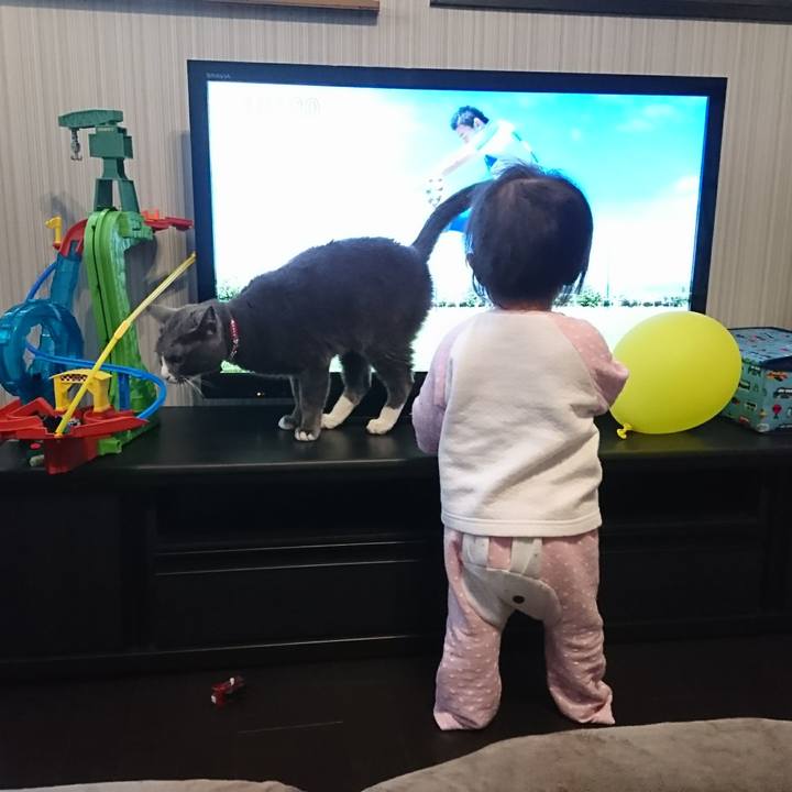 3c452587 3421 4a30 9ec6 ace38075e017