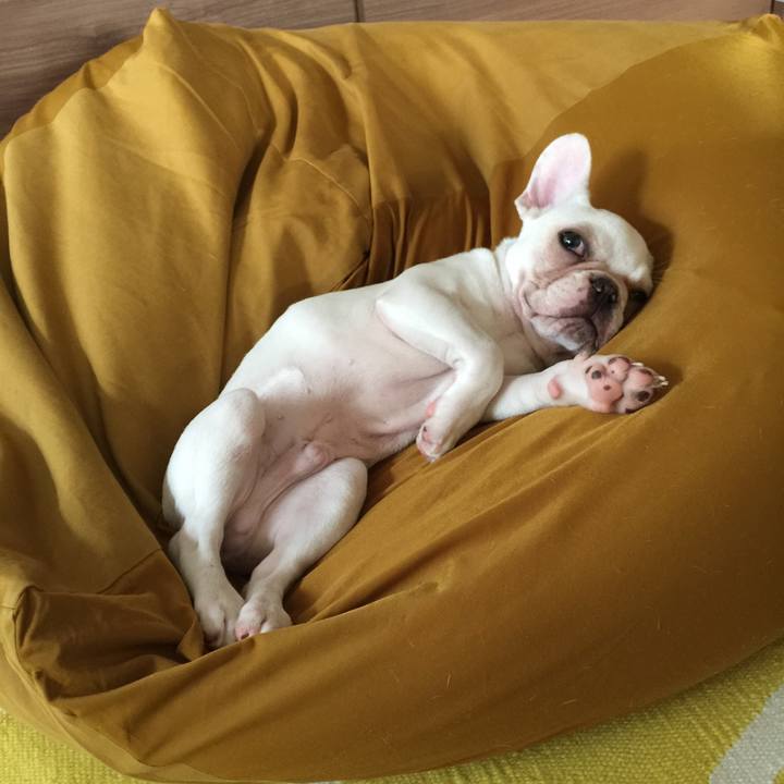 3c455f8e 9acd 4887 95f9 f82f868ec428