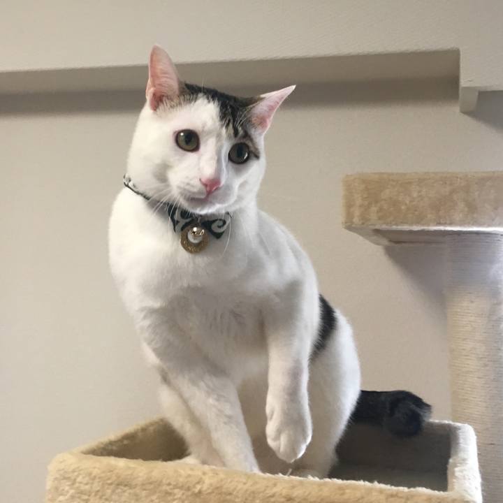 3c458dad 251c 47ce 8a07 543d6042caff