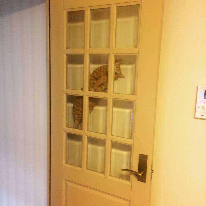 3c4612eb bcb5 4a18 b162 4b2e07c31452