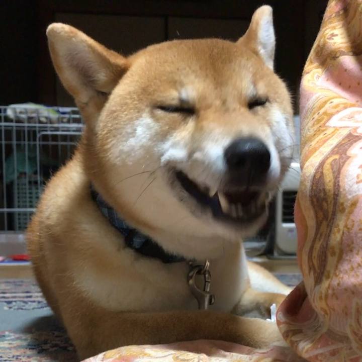 3c46bdc0 49ba 4c53 9301 feb7cea35501