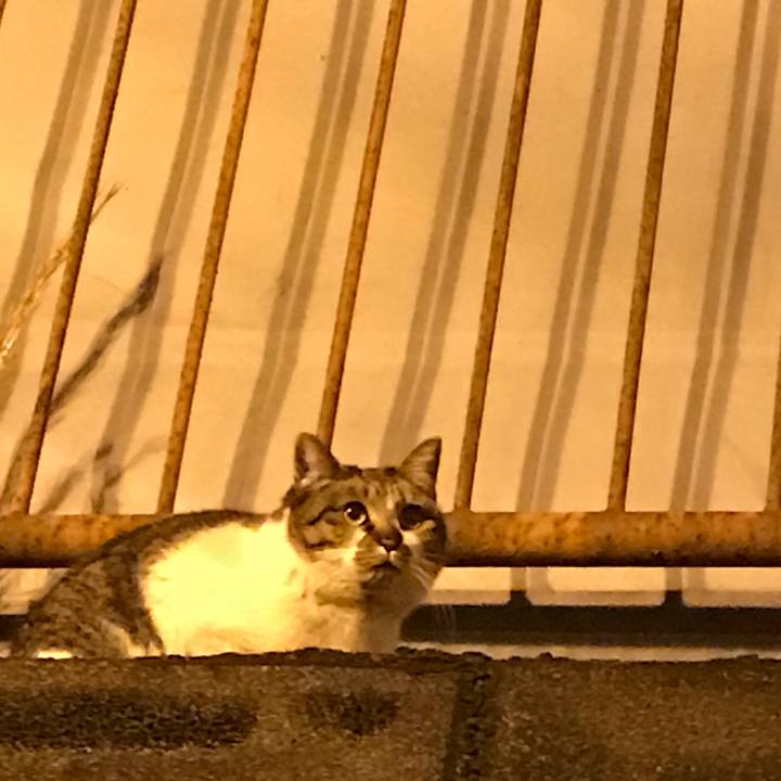 3c46cb6c 5906 4cb1 84a1 6d798621b00a