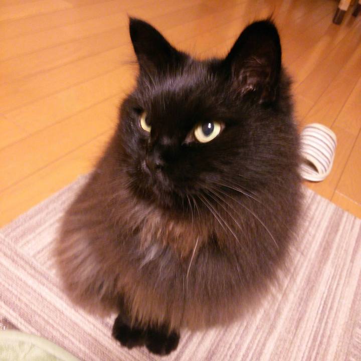 3c479fba 31bc 434e 9f5c 9cb7a4ed67a6