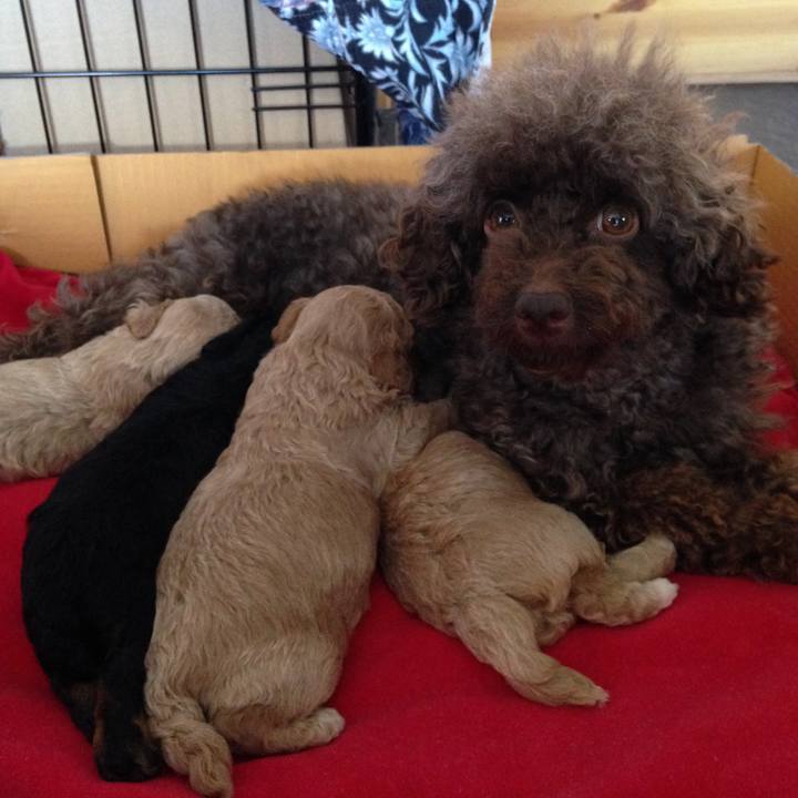 3c47da99 8f5c 4b23 8629 dbcecb792c17