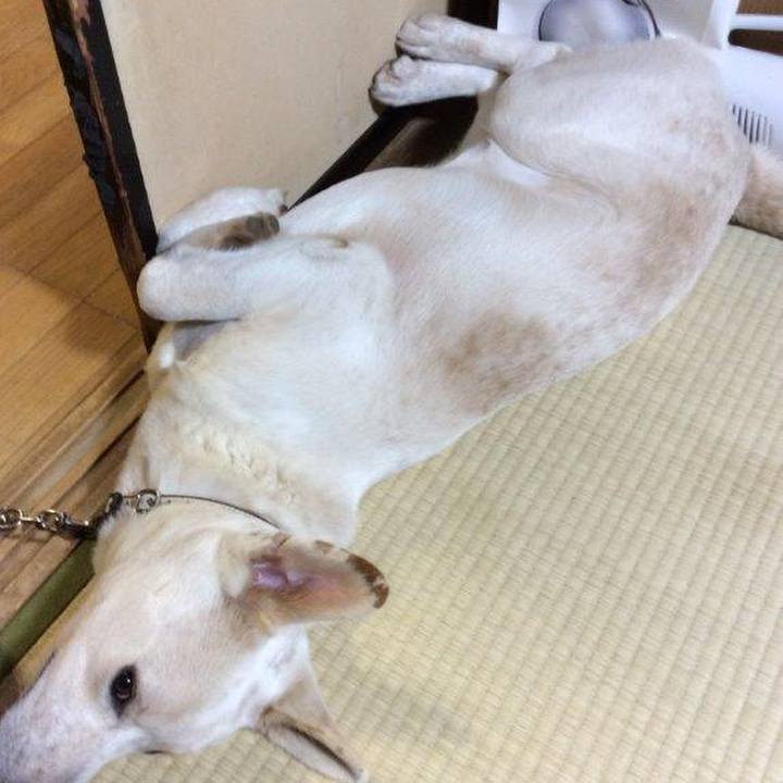 3c489547 46b1 4248 a20d 6c4343e18304