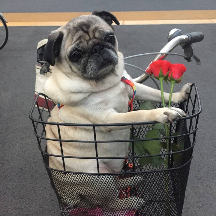 3c493ae7 15aa 4a9e adf5 7e36df2f2406