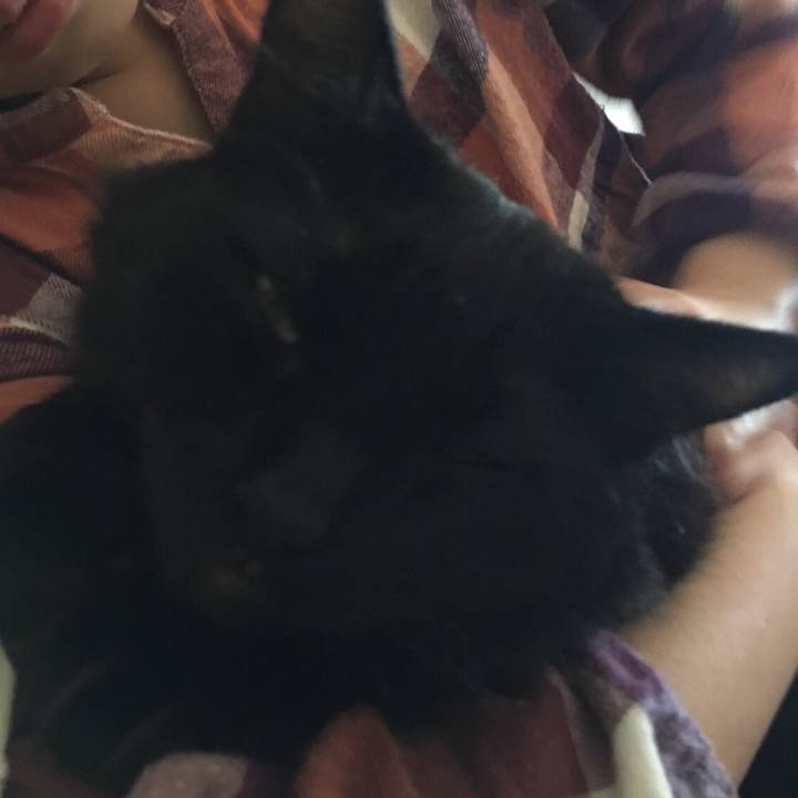 3c496438 73f0 421b a129 4e542c237ffc