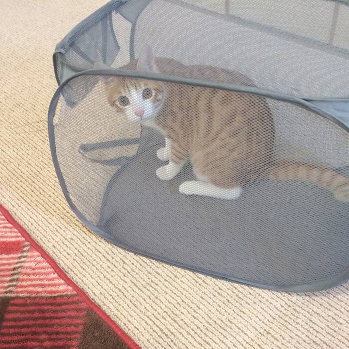 3c499ff6 1349 451a 87a3 17ddcc59de99