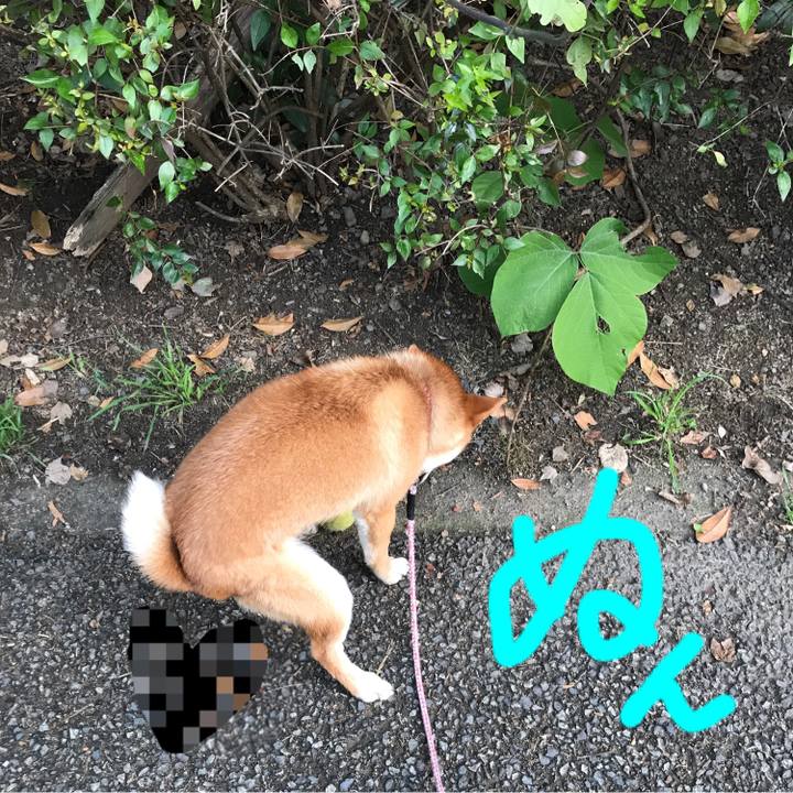 3c49a885 8bf5 4d81 bd16 0ad27d824a47