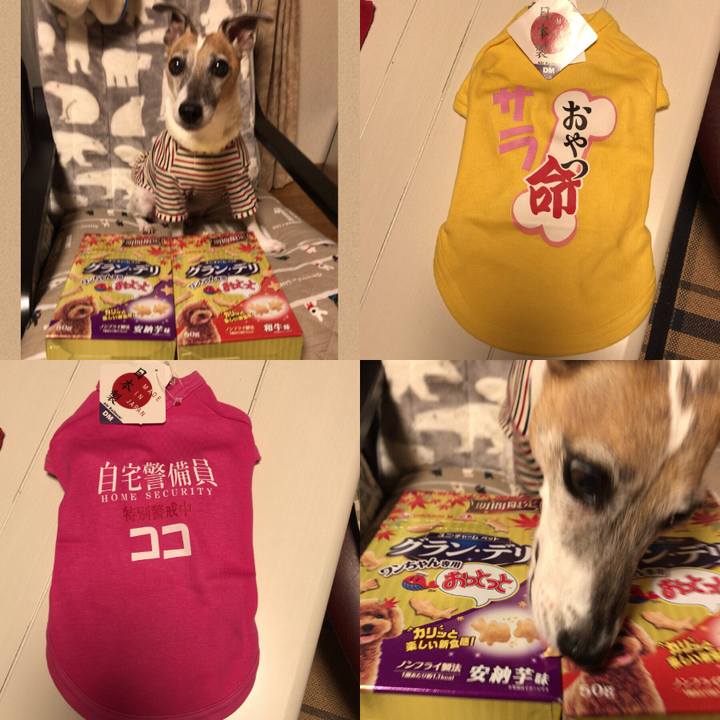 3c4a04a6 8138 400e 9421 c01a5696d776