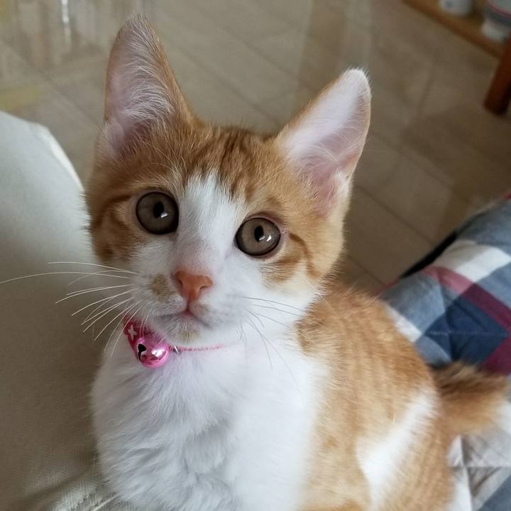 3c4a04b8 11fb 4e7a 9364 6630be493927