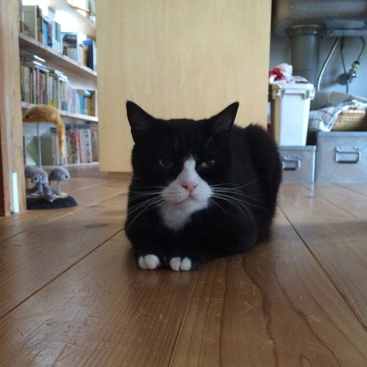 3c4a68a2 7f4f 4015 9622 8ae9ce26aff0