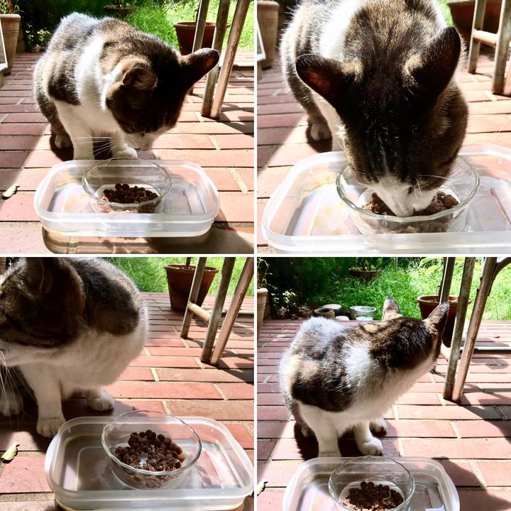 3c4a7b4d f595 402b 8e20 4595462ff51b