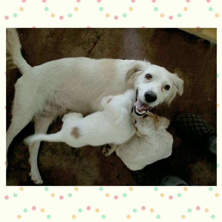 3c4b5aee 0d08 4c8a 95a0 ef4f32b5a59e