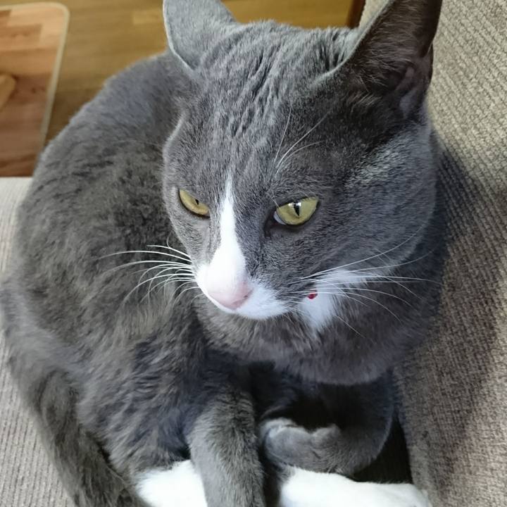 3c4bfabd f130 4eae 8ef8 0d3757b27b06