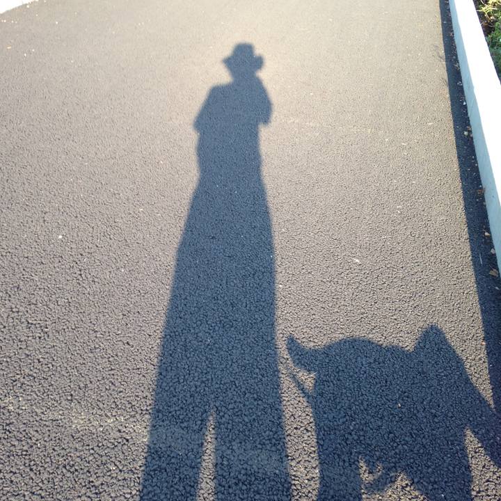 3c4c3a2a d8e4 4e78 9f65 46af2c273c6e