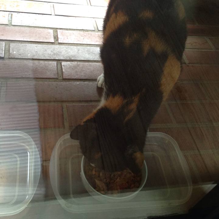 3c4c533a 239f 4da9 84ad aca9525061ab