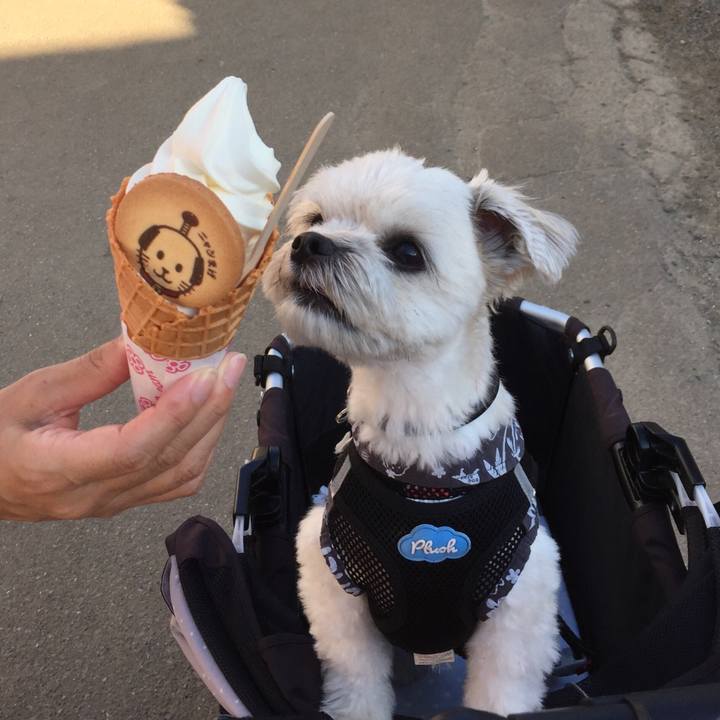 3c4cd8ac fbd3 40cd 8995 c1df3f0944af